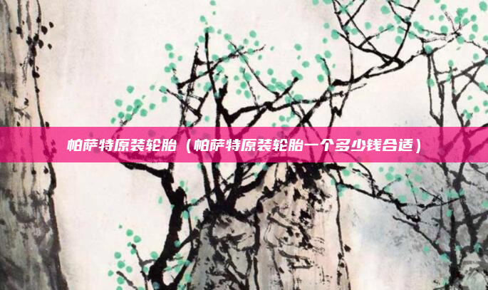 帕萨特原装轮胎（帕萨特原装轮胎一个多少钱合适）