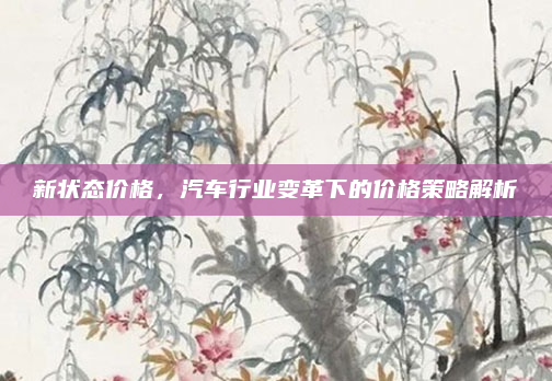 新状态价格，汽车行业变革下的价格策略解析