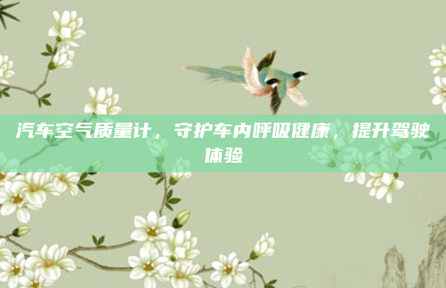 汽车空气质量计，守护车内呼吸健康，提升驾驶体验