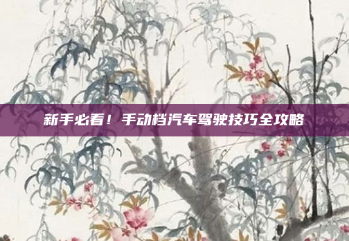 新手必看！手动档汽车驾驶技巧全攻略