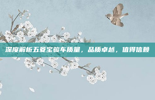 深度解析五菱宝骏车质量，品质卓越，值得信赖