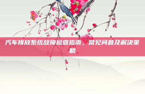 汽车排放系统故障检查指南，常见问题及解决策略