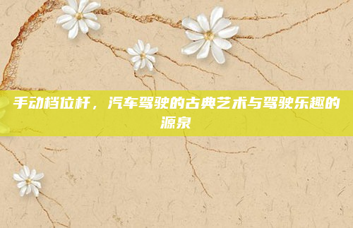 手动档位杆，汽车驾驶的古典艺术与驾驶乐趣的源泉
