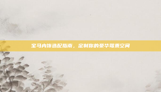 宝马内饰选配指南，定制你的豪华驾乘空间