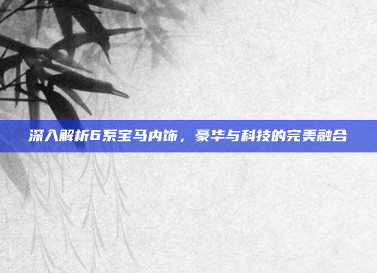 深入解析6系宝马内饰，豪华与科技的完美融合