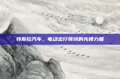 特斯拉汽车，电动出行领域的先锋力量