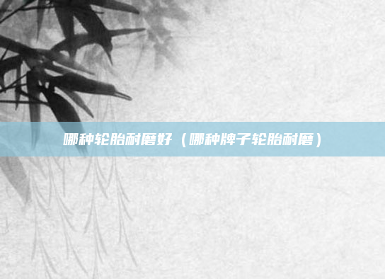 哪种轮胎耐磨好(哪种牌子轮胎耐磨)