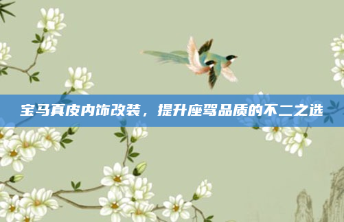 宝马真皮内饰改装，提升座驾品质的不二之选