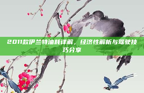 2011款伊兰特油耗详解，经济性解析与驾驶技巧分享