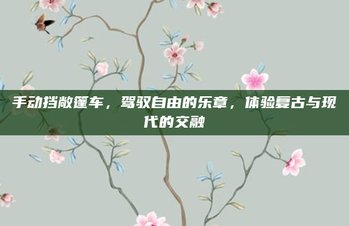 手动挡敞篷车，驾驭自由的乐章，体验复古与现代的交融