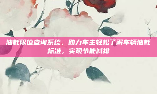 油耗限值查询系统，助力车主轻松了解车辆油耗标准，实现节能减排