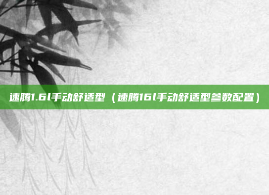 速腾1.6l手动舒适型(速腾16l手动舒适型参数配置)