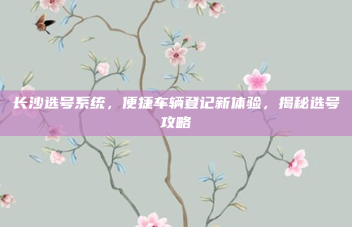 长沙选号系统，便捷车辆登记新体验，揭秘选号攻略