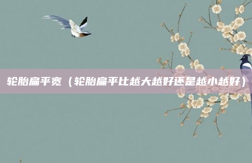 轮胎扁平宽(轮胎扁平比越大越好还是越小越好)