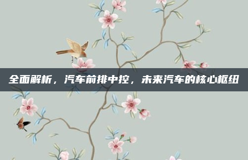 全面解析，汽车前排中控，未来汽车的核心枢纽