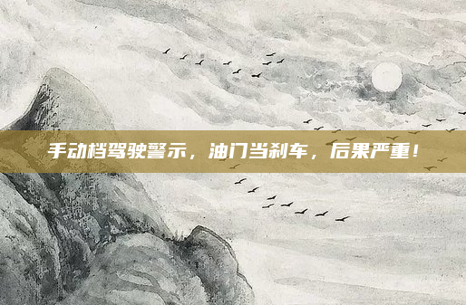 手动档驾驶警示，油门当刹车，后果严重！