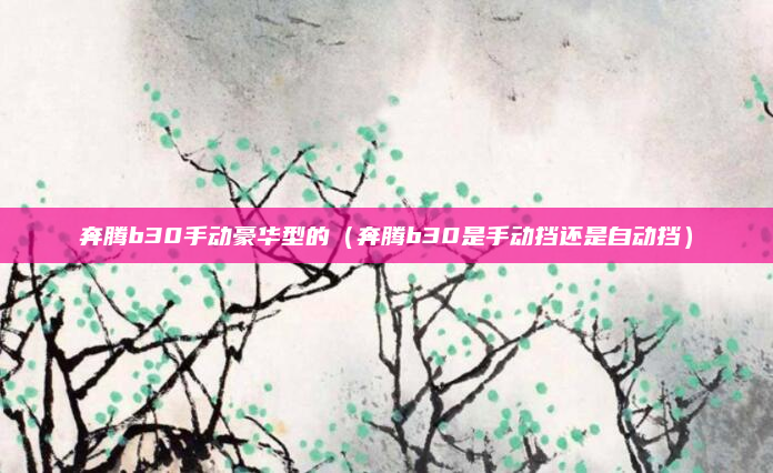 奔腾b30手动豪华型的（奔腾b30是手动挡还是自动挡）