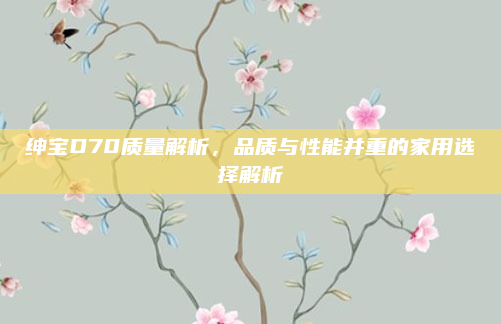 绅宝D70质量解析，品质与性能并重的家用选择解析