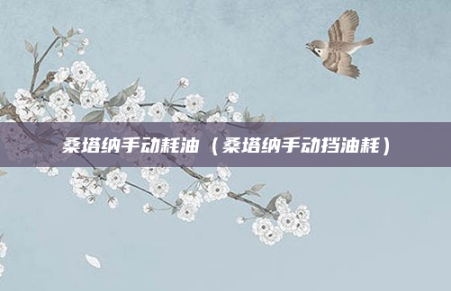 桑塔纳手动耗油(桑塔纳手动挡油耗)