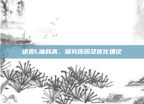途观L油耗高，探究原因及优化建议
