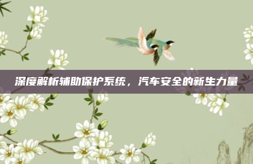 深度解析辅助保护系统，汽车安全的新生力量