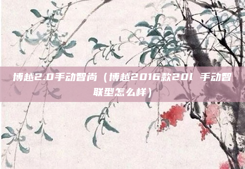 博越2.0手动智尚(博越2016款20l 手动智联型怎么样)