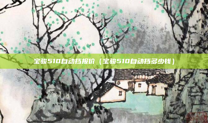 宝骏510自动挡报价（宝骏510自动挡多少钱）