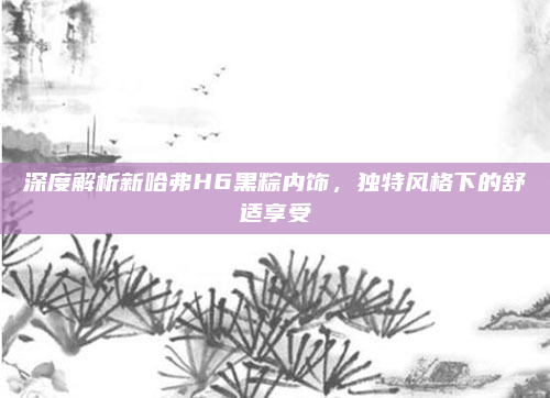 深度解析新哈弗H6黑粽内饰,独特风格下的舒适享受