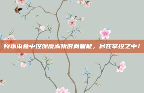 铃木雨燕中控深度解析时尚智能，尽在掌控之中！