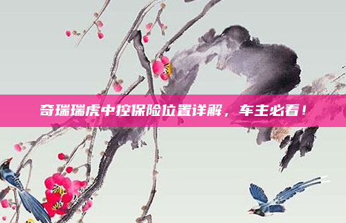 奇瑞瑞虎中控保险位置详解，车主必看！