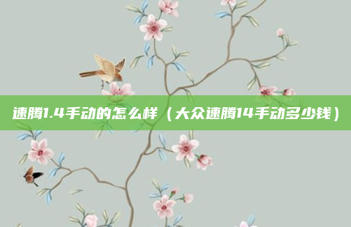速腾1.4手动的怎么样(大众速腾14手动多少钱)