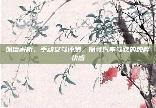 深度解析，手动安驾评测，探寻汽车驾驶的纯粹快感