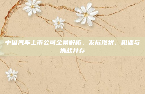 中国汽车上市公司全景解析，发展现状、机遇与挑战并存