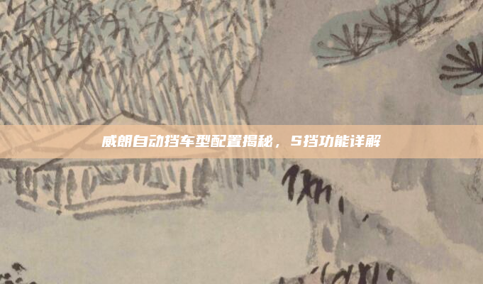 威朗自动挡车型配置揭秘，S挡功能详解