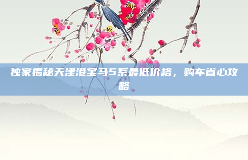 独家揭秘天津港宝马5系最低价格，购车省心攻略