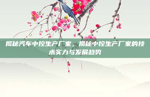 揭秘汽车中控生产厂家，揭秘中控生产厂家的技术实力与发展趋势