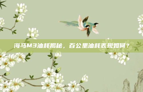 海马M3油耗揭秘，百公里油耗表现如何？