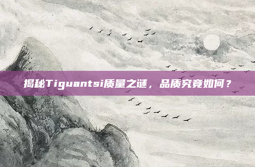 揭秘Tiguantsi质量之谜，品质究竟如何？