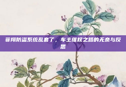 菲翔防盗系统乱套了，车主维权之路的无奈与反思