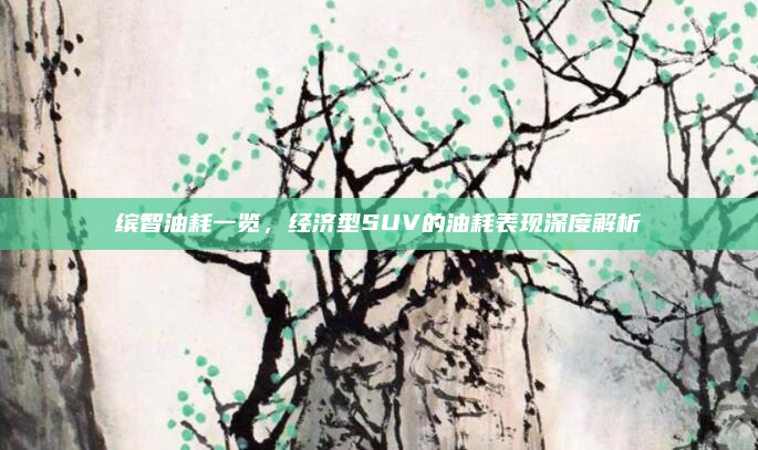 缤智油耗一览，经济型SUV的油耗表现深度解析