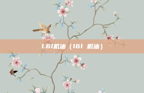 1.6l机油（16l 机油）