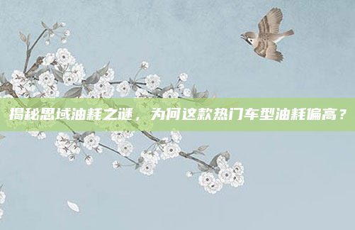 揭秘思域油耗之谜，为何这款热门车型油耗偏高？