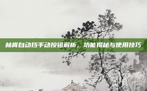 林肯自动挡手动按钮解析，功能揭秘与使用技巧