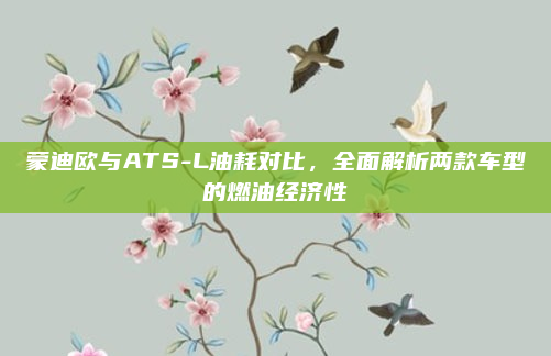蒙迪欧与ATS-L油耗对比，全面解析两款车型的燃油经济性
