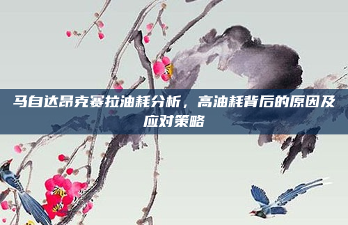 马自达昂克赛拉油耗分析，高油耗背后的原因及应对策略