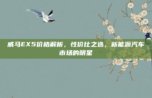 威马EX5价格解析，性价比之选，新能源汽车市场的明星
