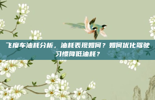 飞度车油耗分析，油耗表现如何？如何优化驾驶习惯降低油耗？