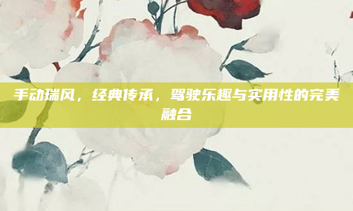 手动瑞风，经典传承，驾驶乐趣与实用性的完美融合