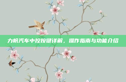 力帆汽车中控按键详解,操作指南与功能介绍