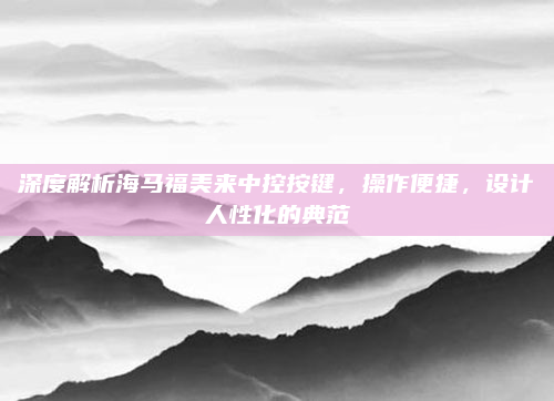 深度解析海马福美来中控按键，操作便捷，设计人性化的典范